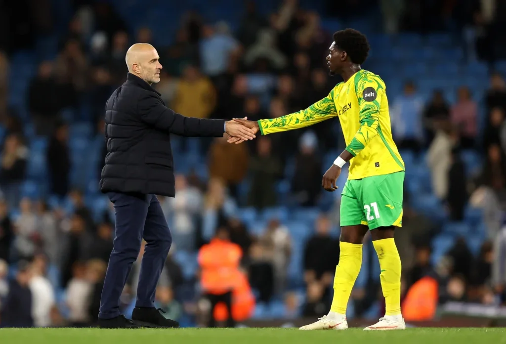 Norwich Struggles as Toure's Late Entrance Fails to Change 5-0 Defeat Against Manchester City